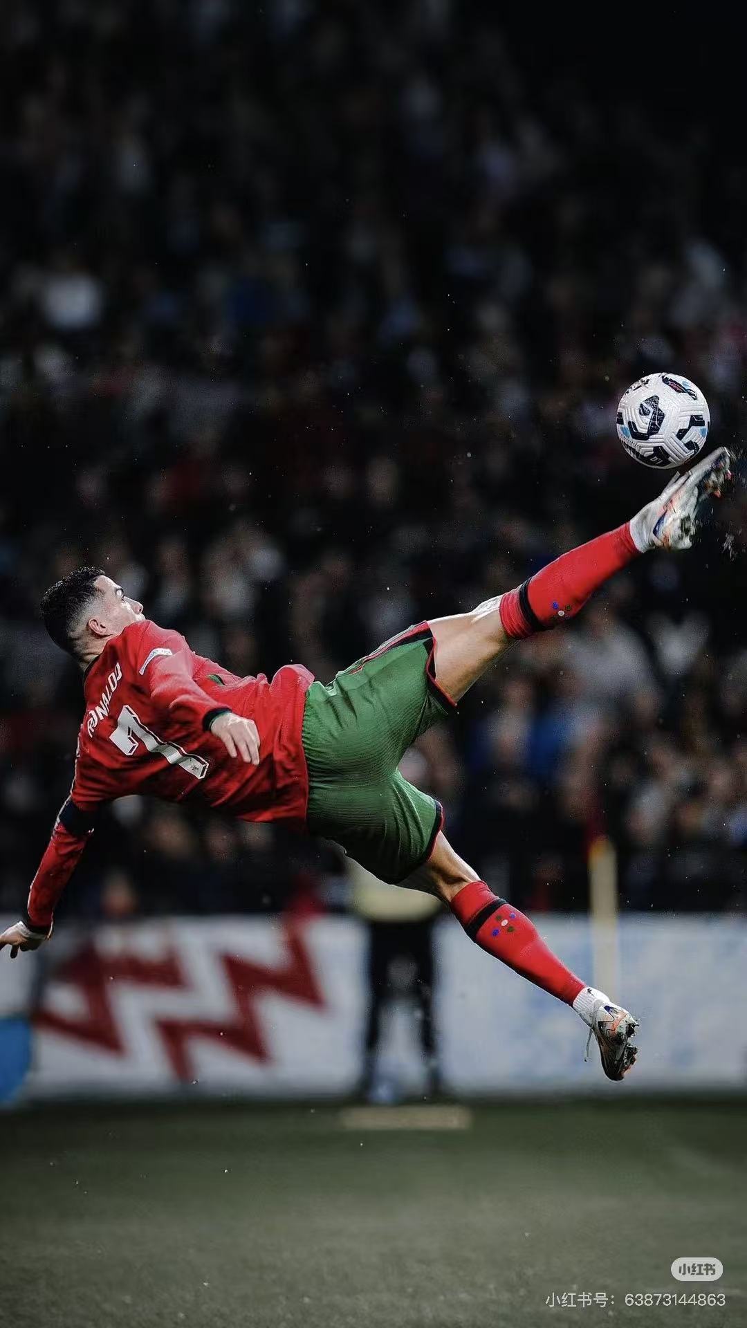 67579ca920795621a04cfbb51e08f06.jpg 67579ca920795621a04cfbb51e08f06.jpg