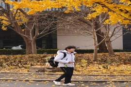这画面太美啦。
