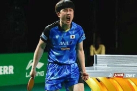  张本智和返乡祭祖遭抵制引争议，身份与立场成焦点。