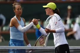 郑钦文喜获“上上签”，同区高芙、萨巴伦卡，赛事“含金量”拉满。